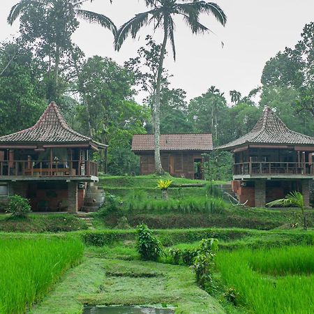 Tepi Sawah Lodge & Retreat Jatiluwih Exterior photo