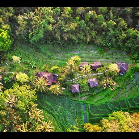 Tepi Sawah Lodge & Retreat Jatiluwih Exterior photo