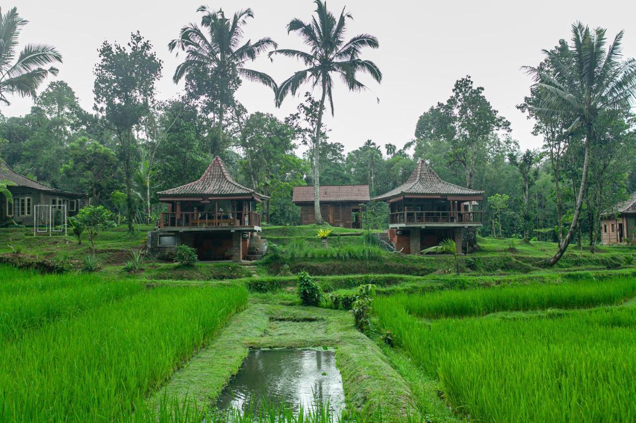 Tepi Sawah Lodge & Retreat Jatiluwih Exterior photo