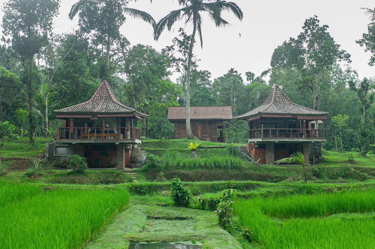 Tepi Sawah Lodge & Retreat Jatiluwih Exterior photo