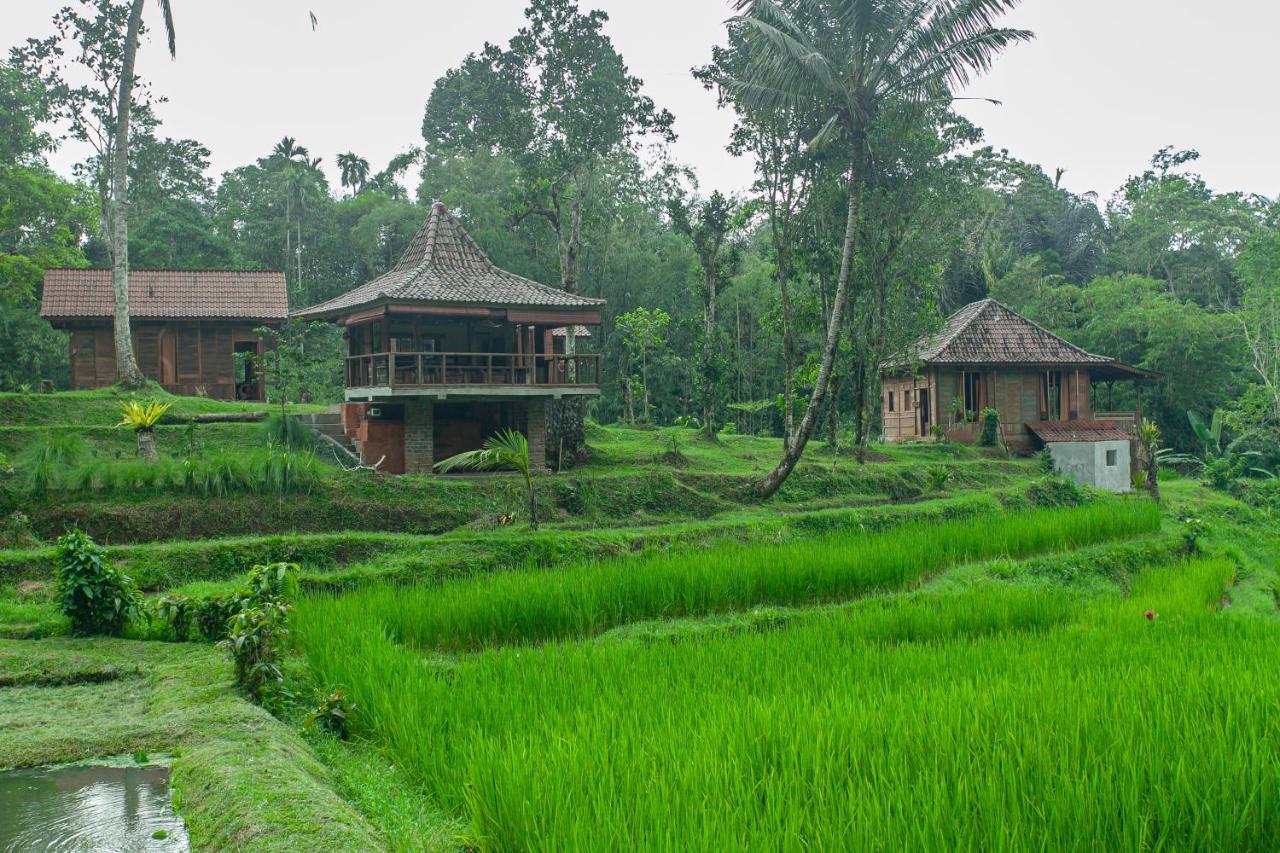 Tepi Sawah Lodge & Retreat Jatiluwih Exterior photo