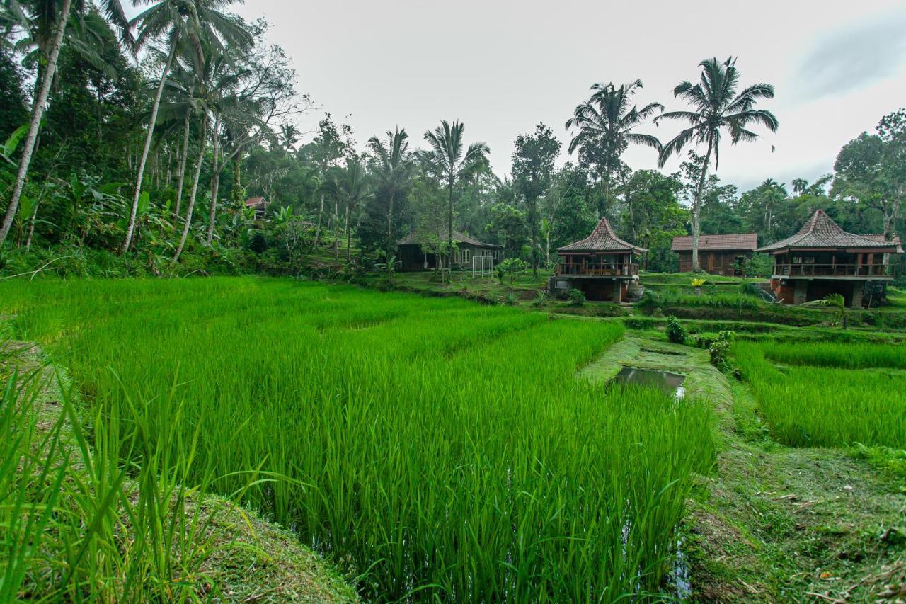 Tepi Sawah Lodge & Retreat Jatiluwih Exterior photo
