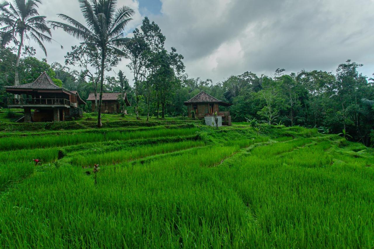 Tepi Sawah Lodge & Retreat Jatiluwih Exterior photo