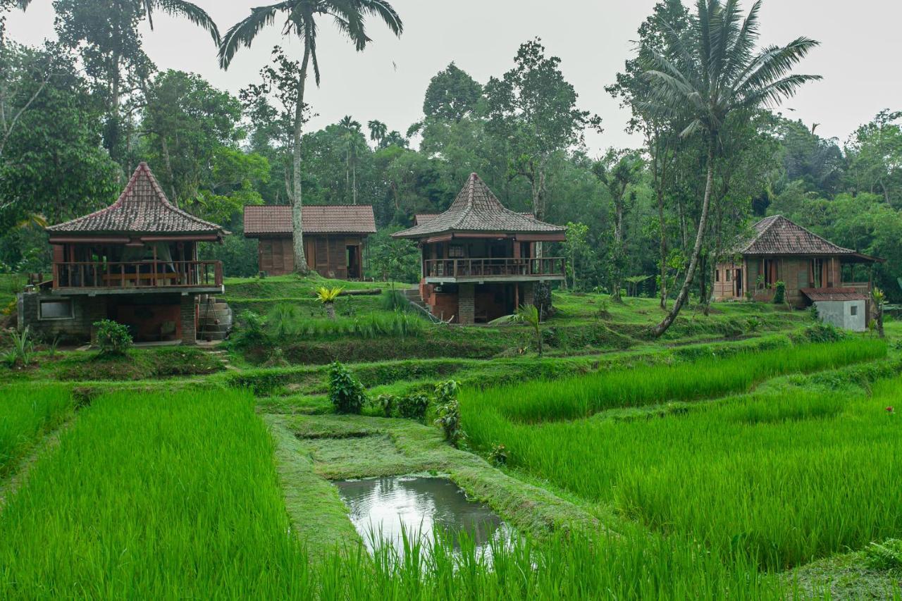 Tepi Sawah Lodge & Retreat Jatiluwih Exterior photo