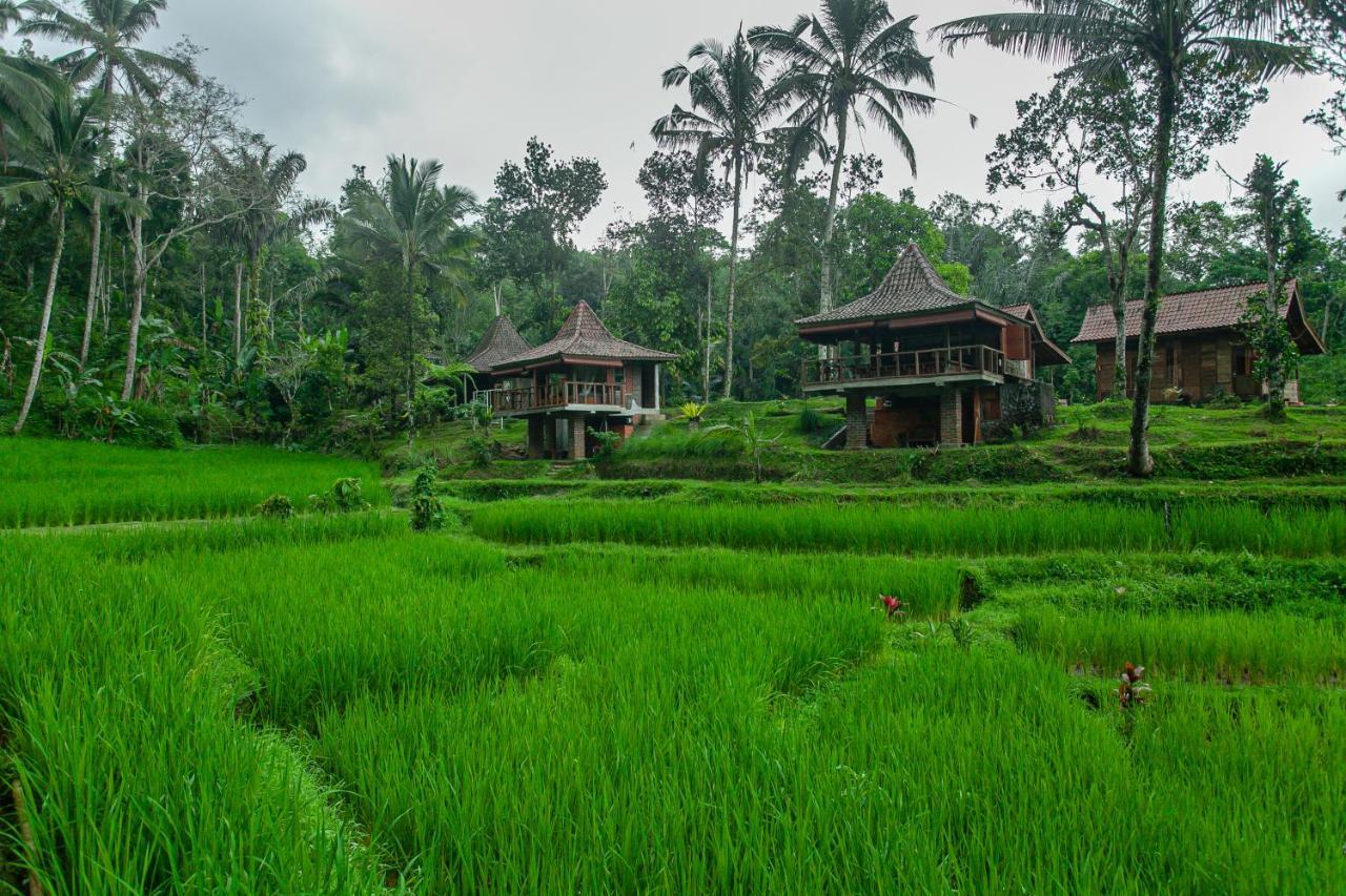 Tepi Sawah Lodge & Retreat Jatiluwih Exterior photo