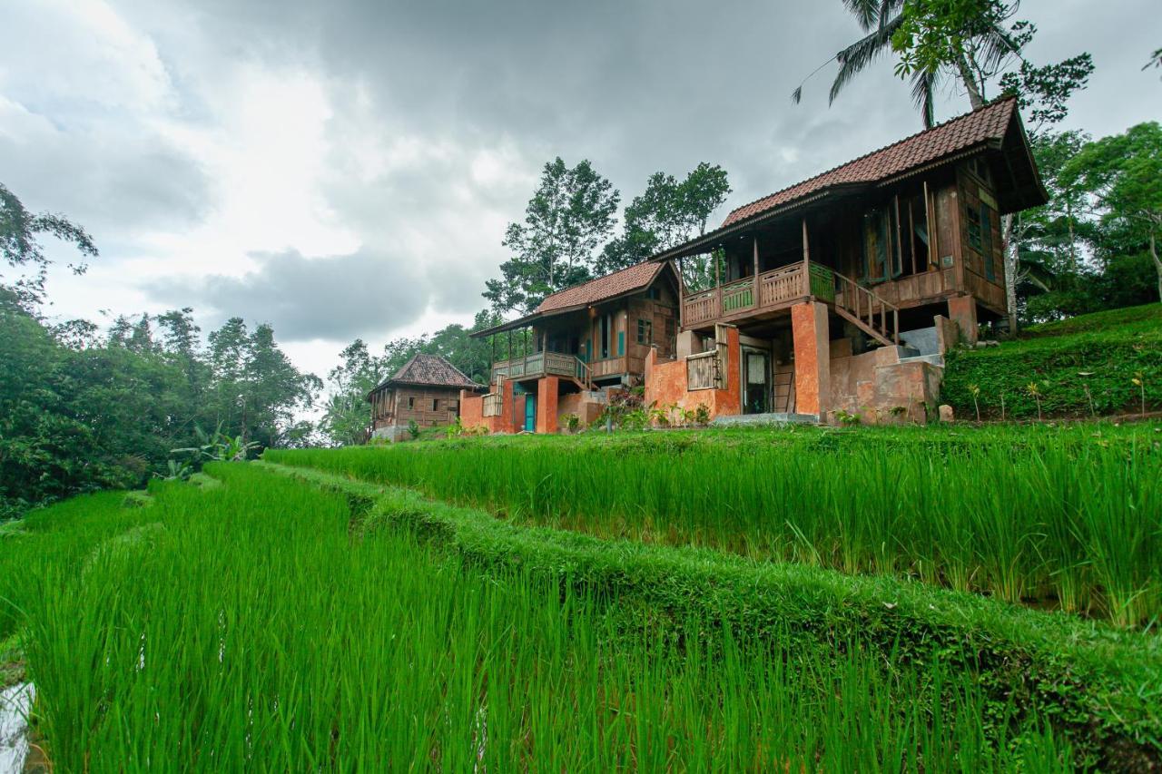 Tepi Sawah Lodge & Retreat Jatiluwih Exterior photo