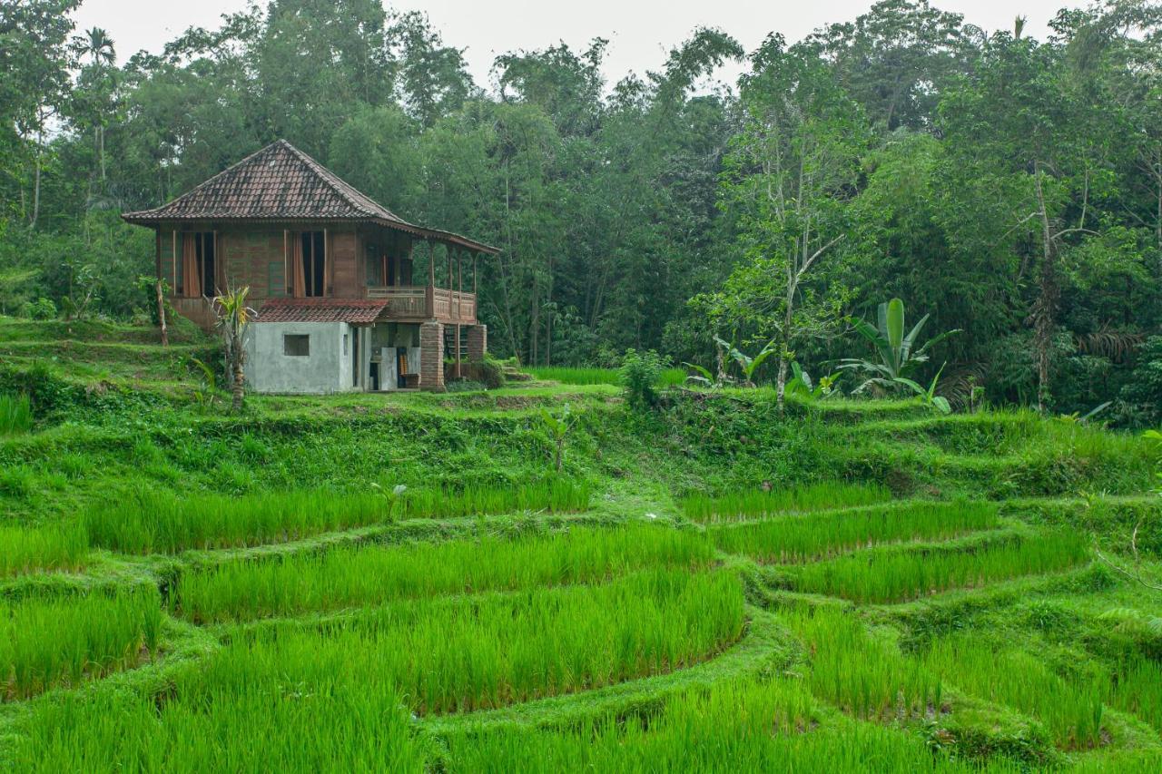 Tepi Sawah Lodge & Retreat Jatiluwih Exterior photo