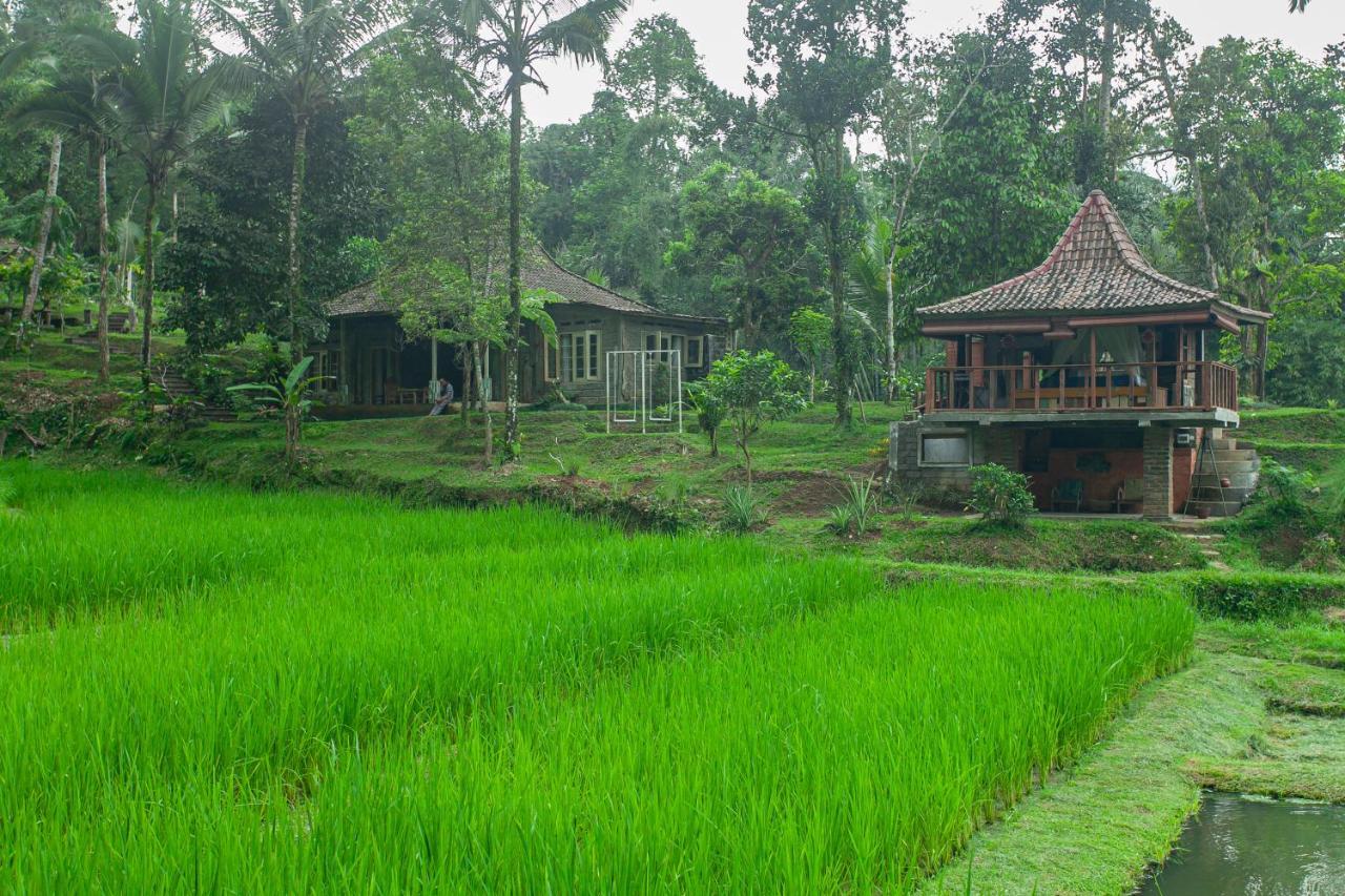 Tepi Sawah Lodge & Retreat Jatiluwih Exterior photo