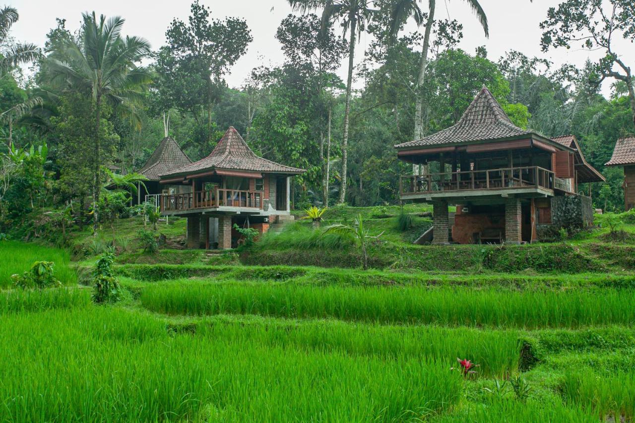 Tepi Sawah Lodge & Retreat Jatiluwih Exterior photo