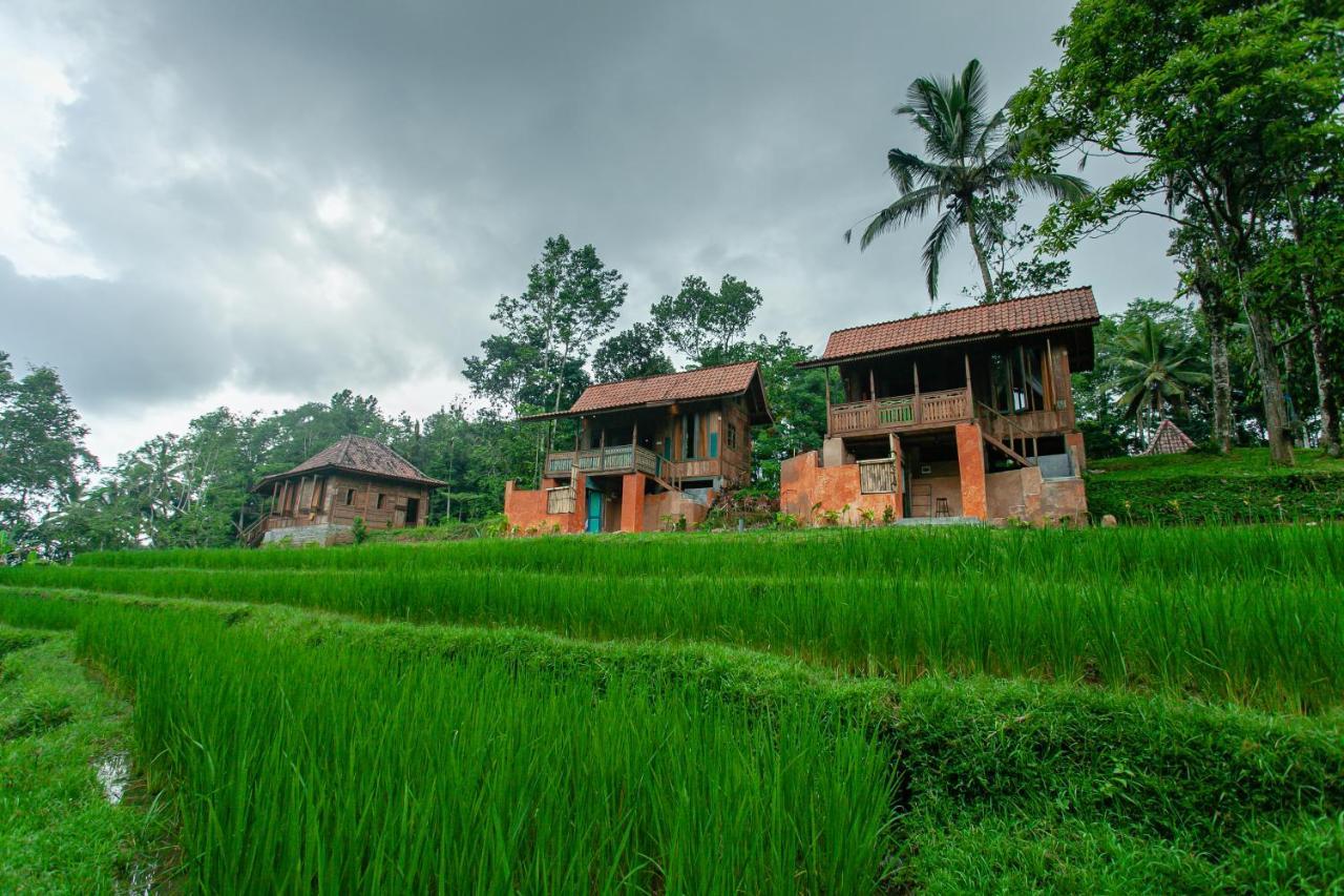 Tepi Sawah Lodge & Retreat Jatiluwih Exterior photo