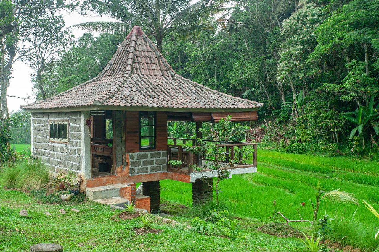 Tepi Sawah Lodge & Retreat Jatiluwih Exterior photo