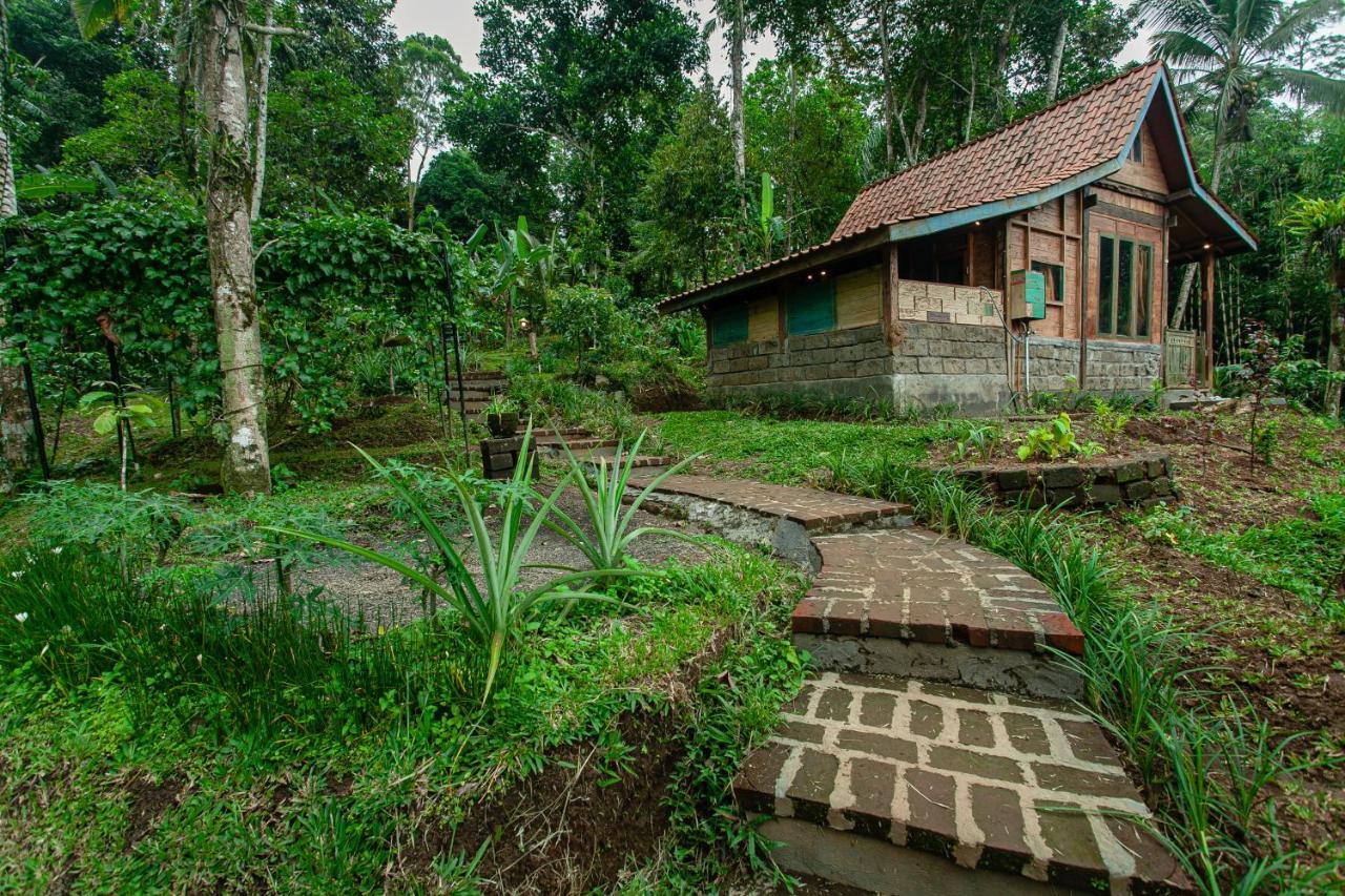 Tepi Sawah Lodge & Retreat Jatiluwih Exterior photo