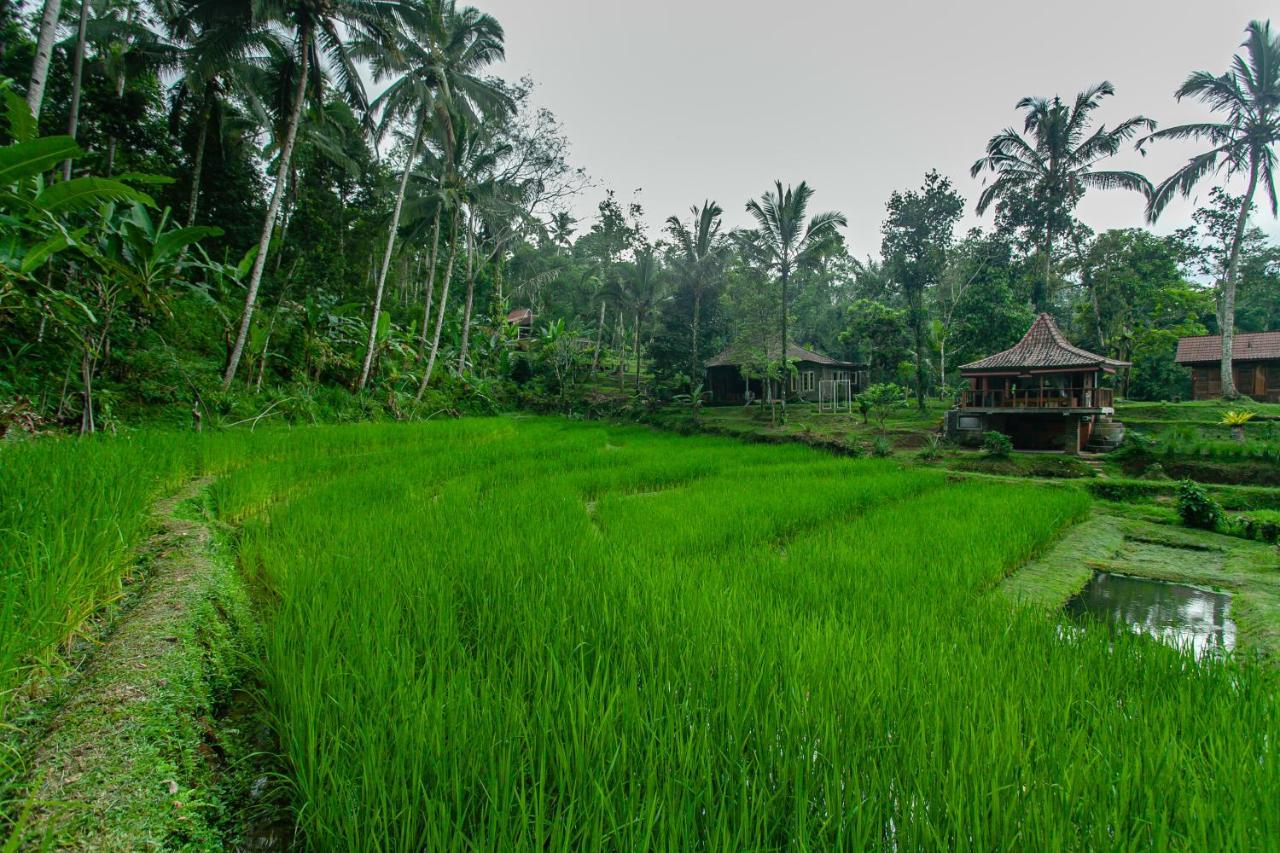 Tepi Sawah Lodge & Retreat Jatiluwih Exterior photo