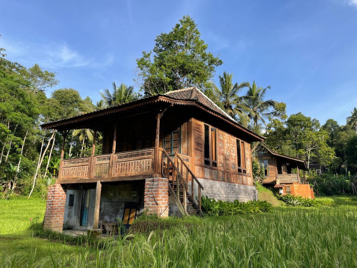 Tepi Sawah Lodge & Retreat Jatiluwih Exterior photo